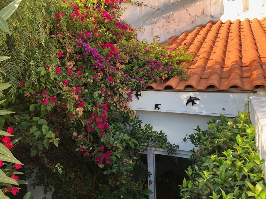 Casa Da Lucia *